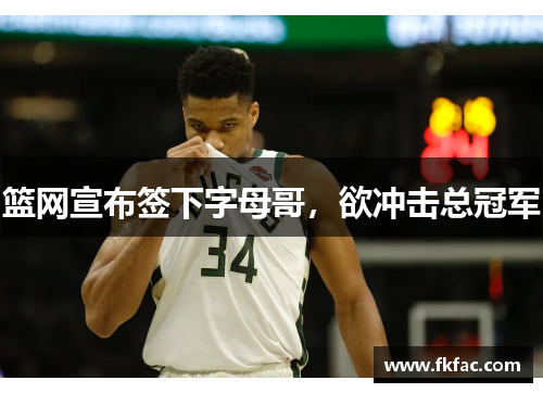 篮网宣布签下字母哥，欲冲击总冠军