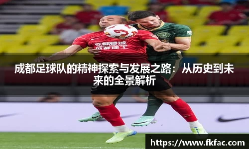 成都足球队的精神探索与发展之路：从历史到未来的全景解析